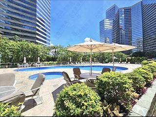 Wan Chai - Convention Plaza Apartments 15
