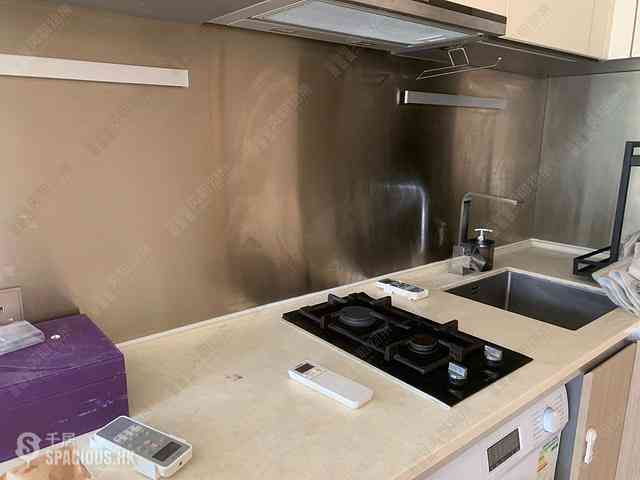 Tai Po - The Regent Block 7 02