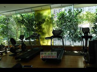 Kennedy Town - Belcher's Hill 34