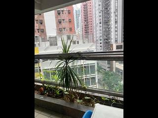 苏豪 - 丰乐阁 17