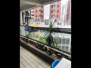 苏豪 - 丰乐阁 21