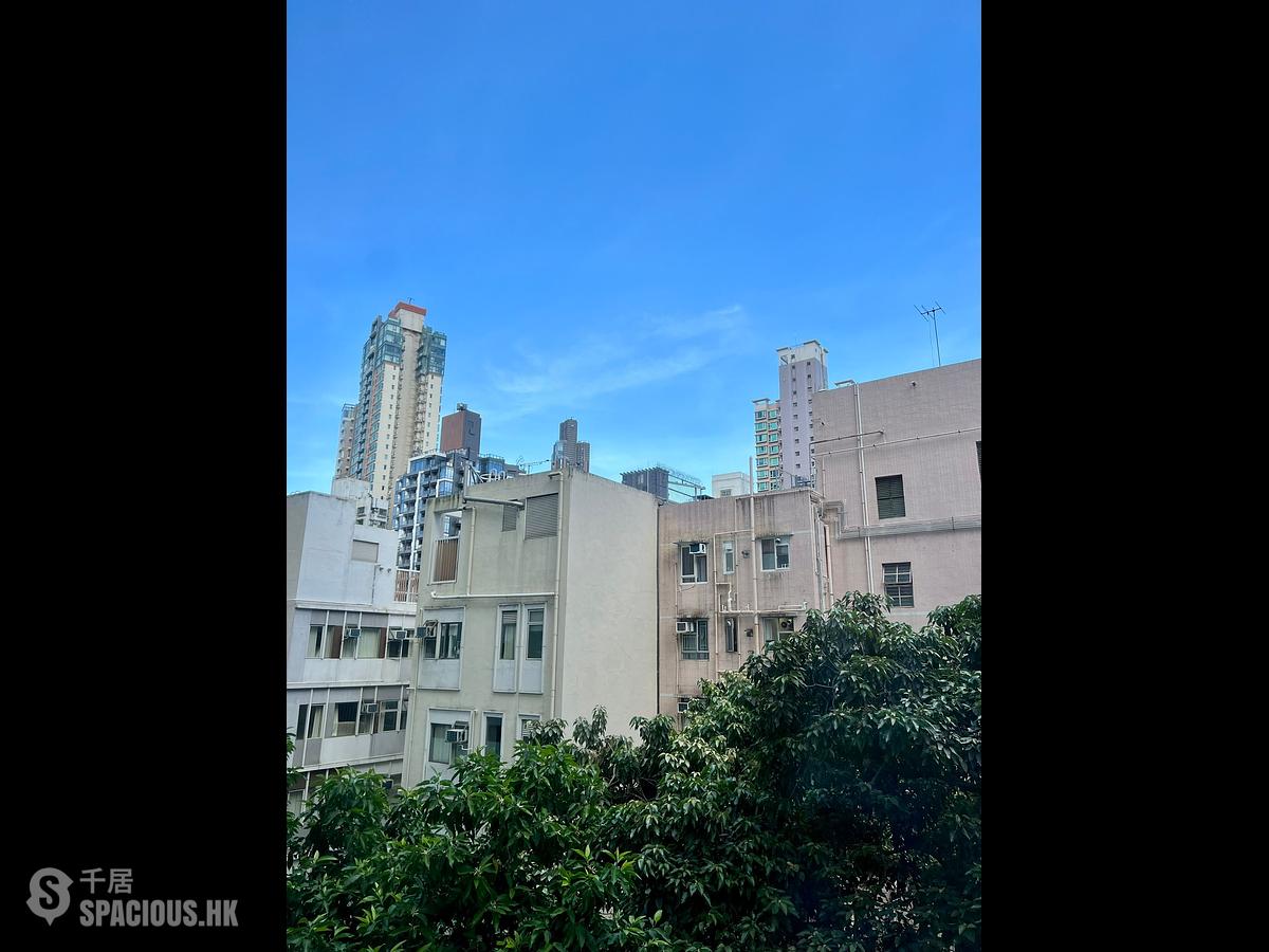 堅尼地城 - 桃李園 01
