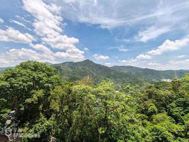Tai Wai - Lakeview Garden 03