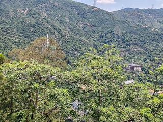 大圍 - 湖景花園 04