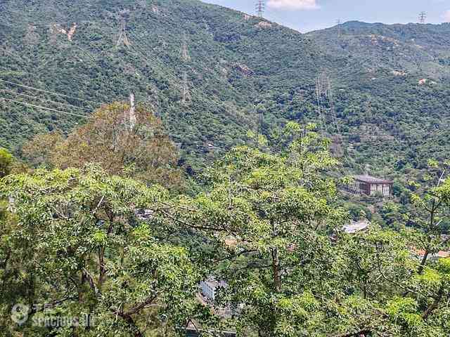 Tai Wai - Lakeview Garden 04
