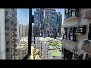 北角 - 丹拿花园 11