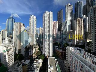 Poho - Rich View Terrace 04