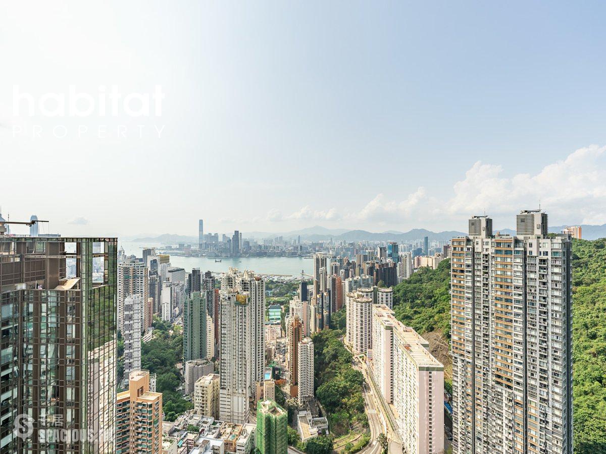Tai Hang - The Legend 01