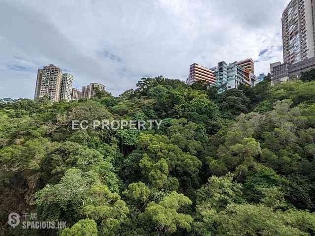 North Point - Lime Habitat 01