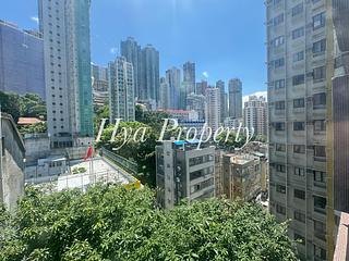 Poho - Rich View Terrace 02
