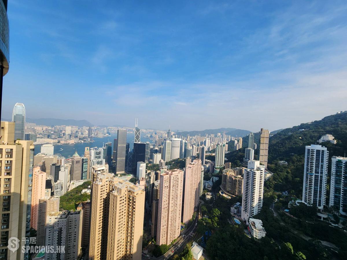 中半山 - 帝景园 01