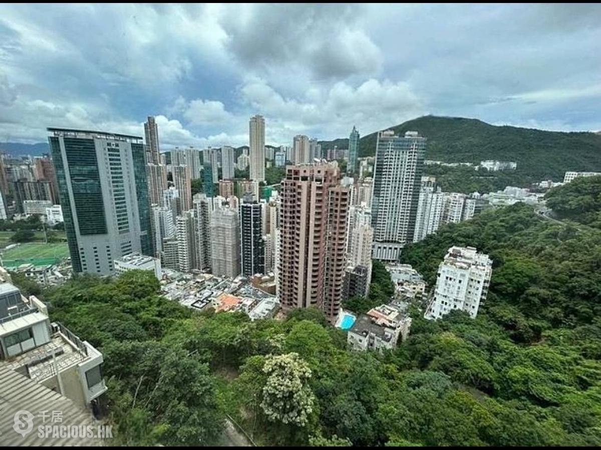 司徒拔道 - 紀園 01