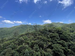Tai Tam - Hong Kong Parkview 03