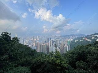 山頂 - The Mount Austin 04