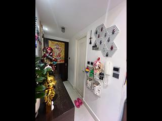 日出康城 - 日出康城2B期 领峰8座 06