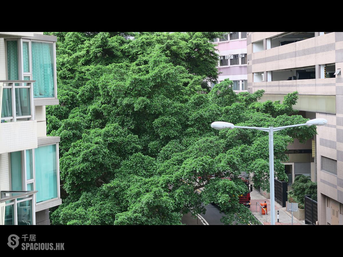 Sai Ying Pun - 1C, High Street 01