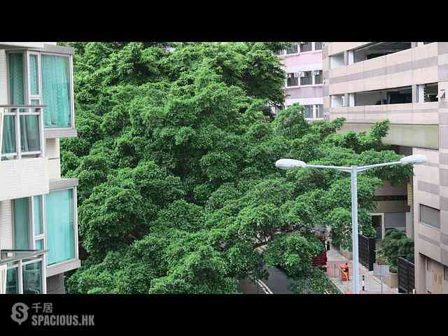西營盤 - 高街1C號 01