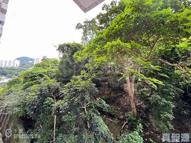 司徒拔道 - 嘉苑C座 09