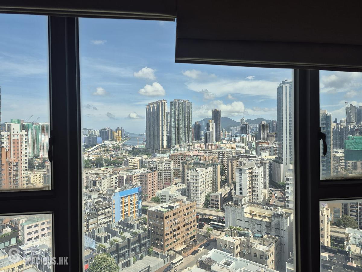Kowloon City - The Bloomsville 01