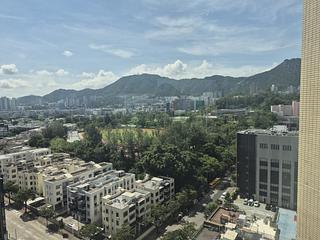 Kowloon City - The Bloomsville 11