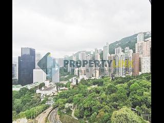 Central - Bel Mount Garden 06