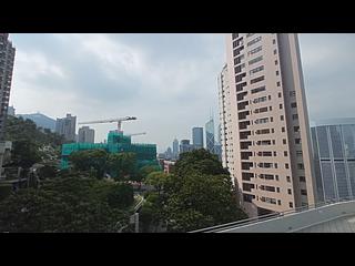 東半山 - 峰景花園 08