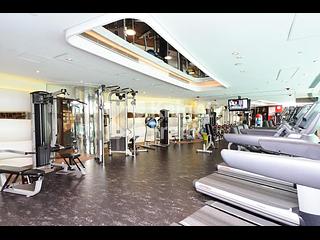 Repulse Bay - The Lily 15