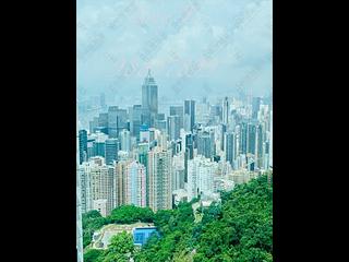 東半山 - Bowen's Lookout 03