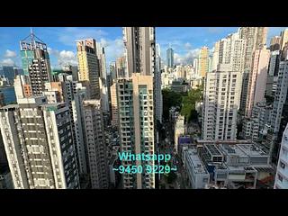 Sai Ying Pun - Western Garden 05