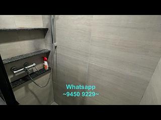 Sai Ying Pun - Western Garden 07