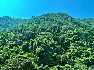 中半山 - 晓峰阁3座 03