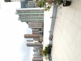 Sai Ying Pun - Hoi Ming Court 16