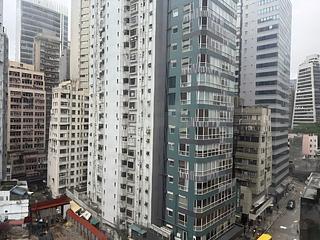 Sai Ying Pun - Macro Garden 08