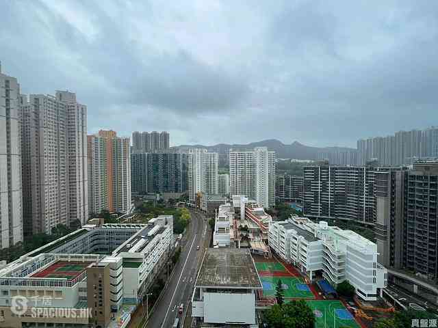 Tseung Kwan O - Twin Peaks 01