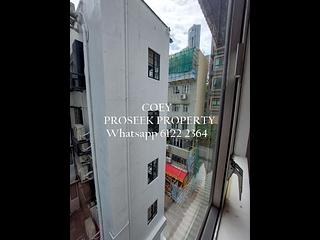 Poho - 19, Tai Ping Shan Street 09