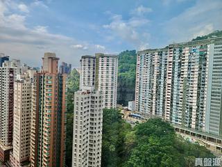 大坑 - 帝后台 05