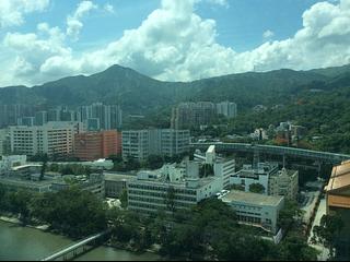 大围 - 溱岸8号 11