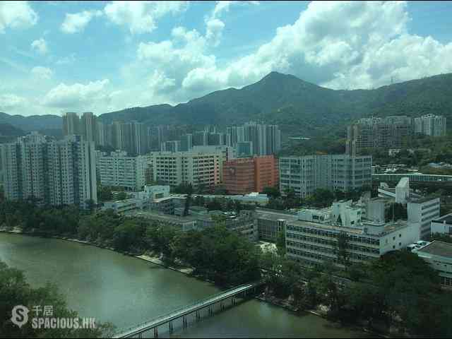 大圍 - 溱岸8號 17