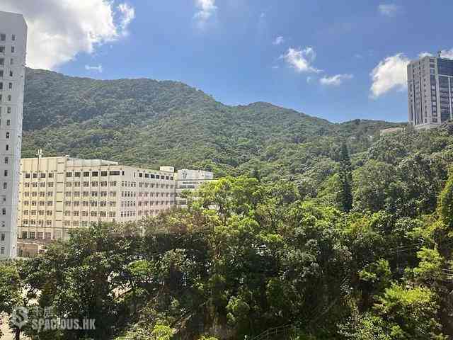 司徒拔道 - 松柏新邨 01