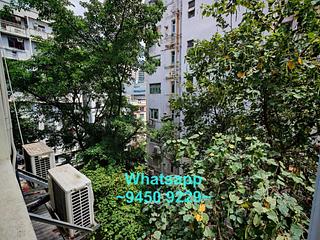 Poho - 8, Tai On Terrace 12