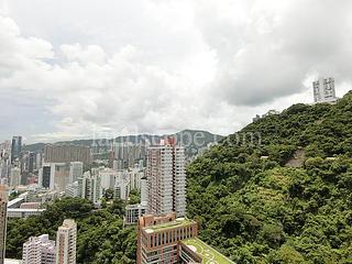 東半山 - 竹林苑 02