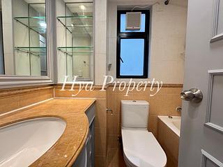 Mid Levels Central - 62B, Robinson Road 11