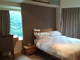 Tai Hang - Jardine Summit 09