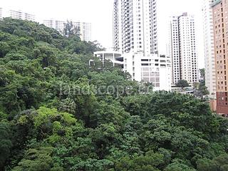 Tai Hang - The Legend 02