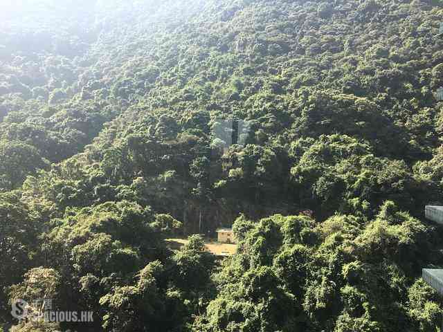 中半山 - 曉峰閣3座 01