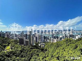 山頂 - 馬己仙峽道26號 16