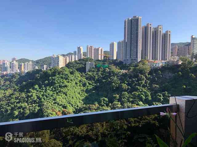 跑马地 - 柏乐苑 01