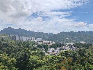 沙田 - 富豪·山峰 02
