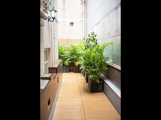 銅鑼灣 - 渣甸街41-43號 07