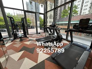 Sai Ying Pun - 15 Western Street 07